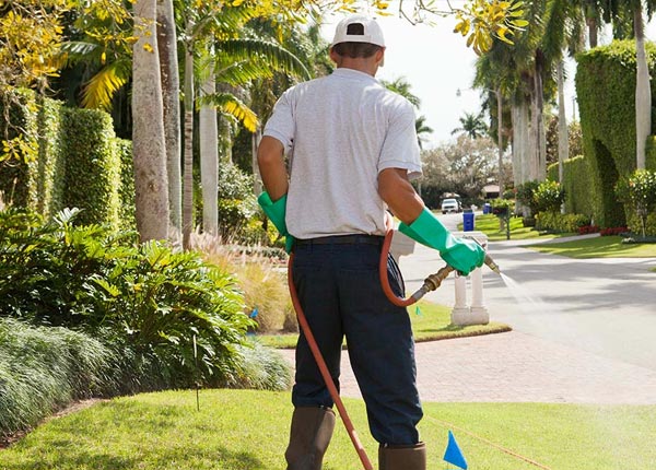 About Cochise AZ Pest Control